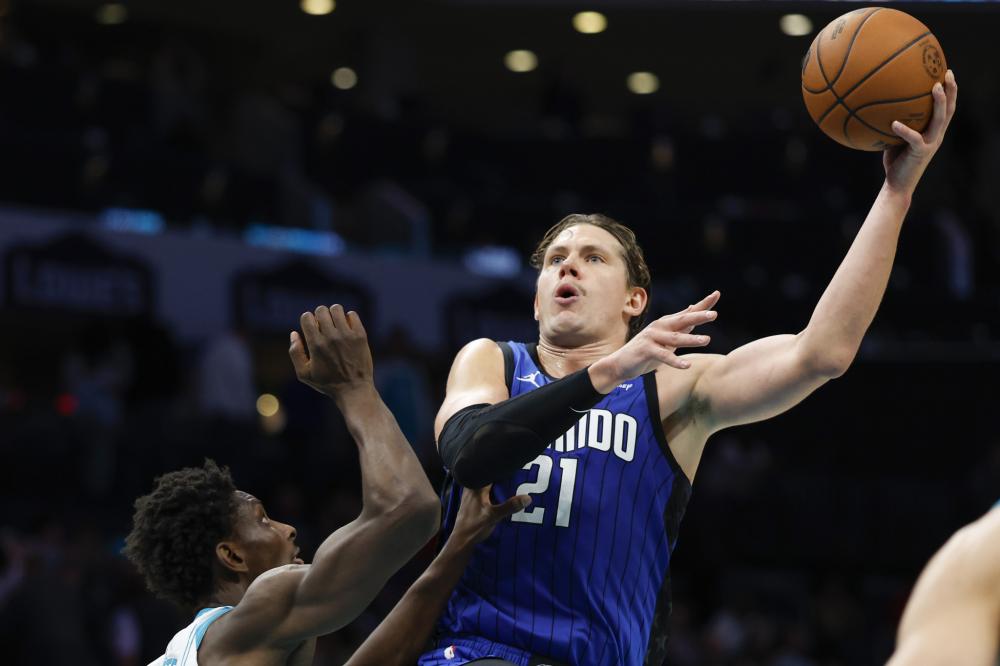 他们以其华 他们以其华